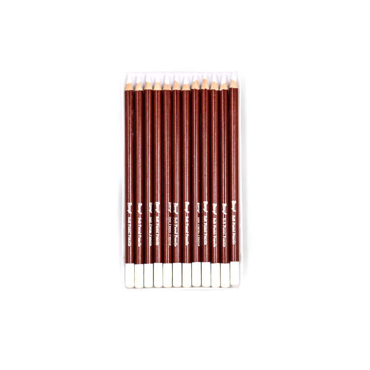 Set of 12 white pastel pencils- Bianyo