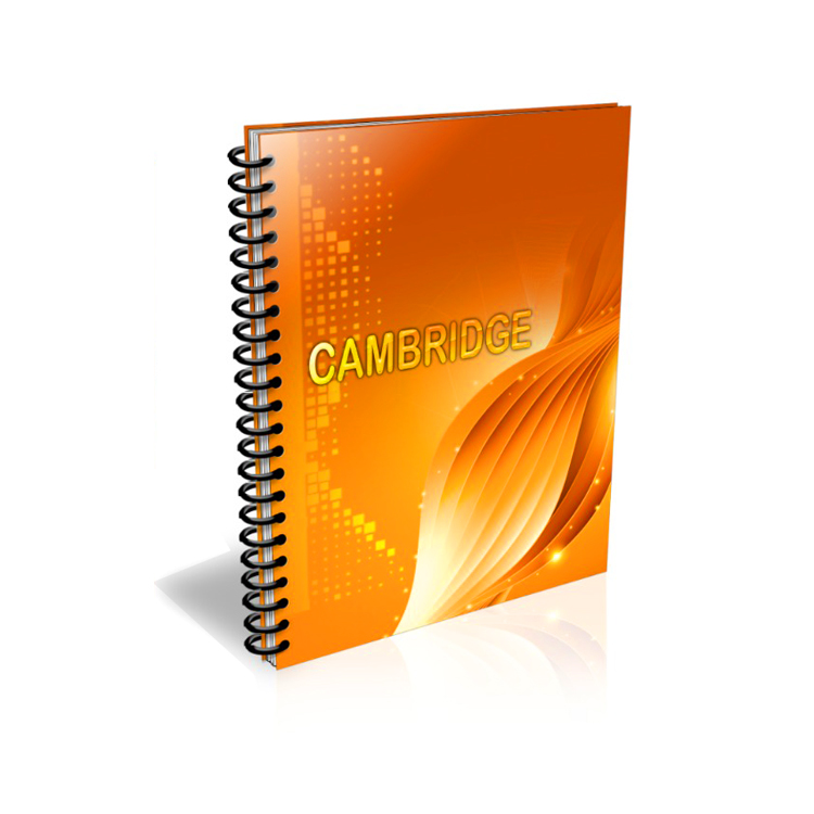 Cambridge wired 0.5 cm squared A4 copybook -EIFFEL