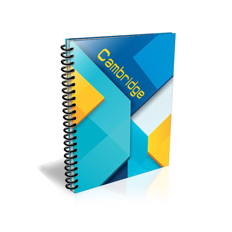 Cambridge wired 0.5 cm squared A4 copybook -EIFFEL